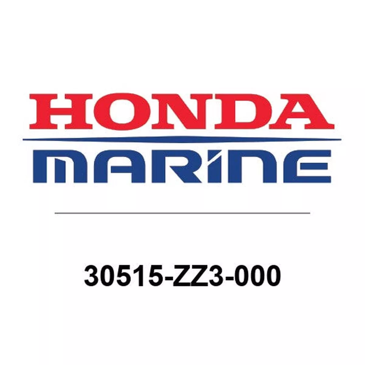 Honda Ignition Coil Case 30515-ZZ3-000